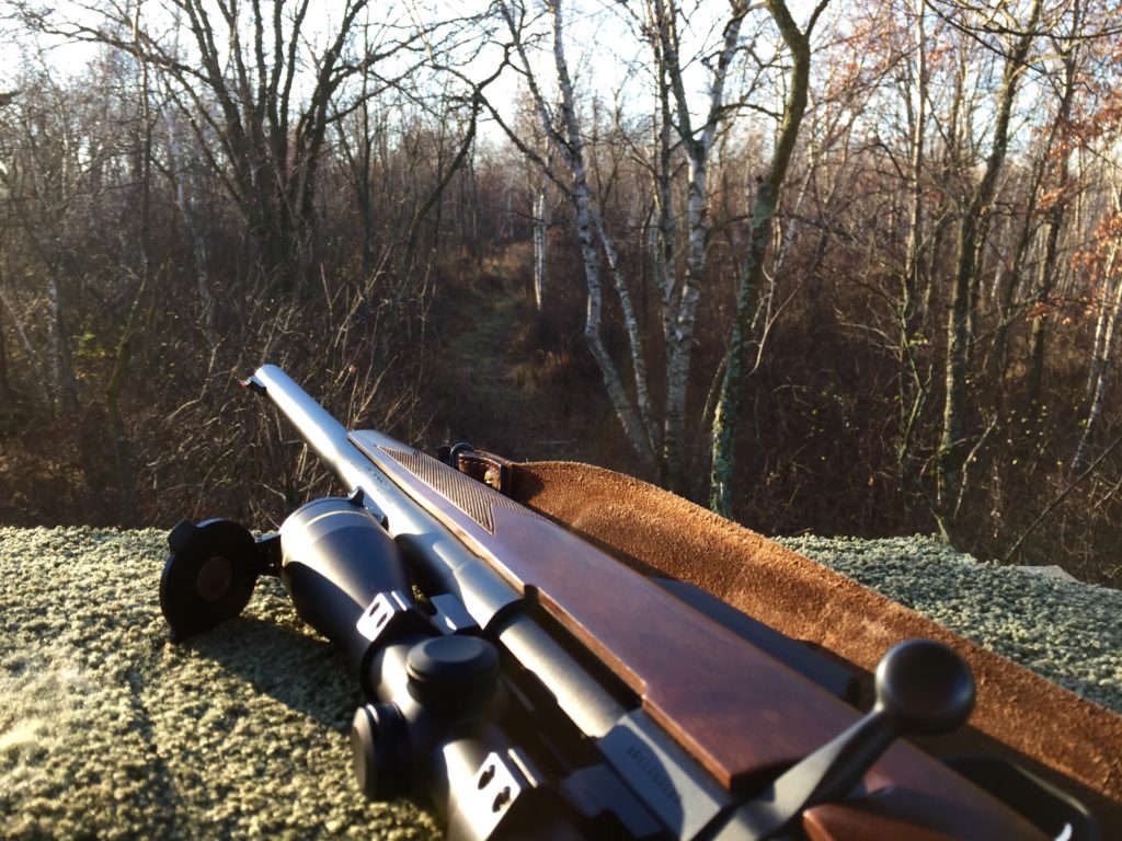 Browning A-Bolt Slug Gun