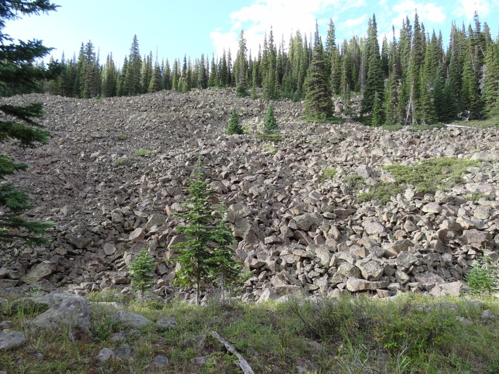 Colorado Elk Country