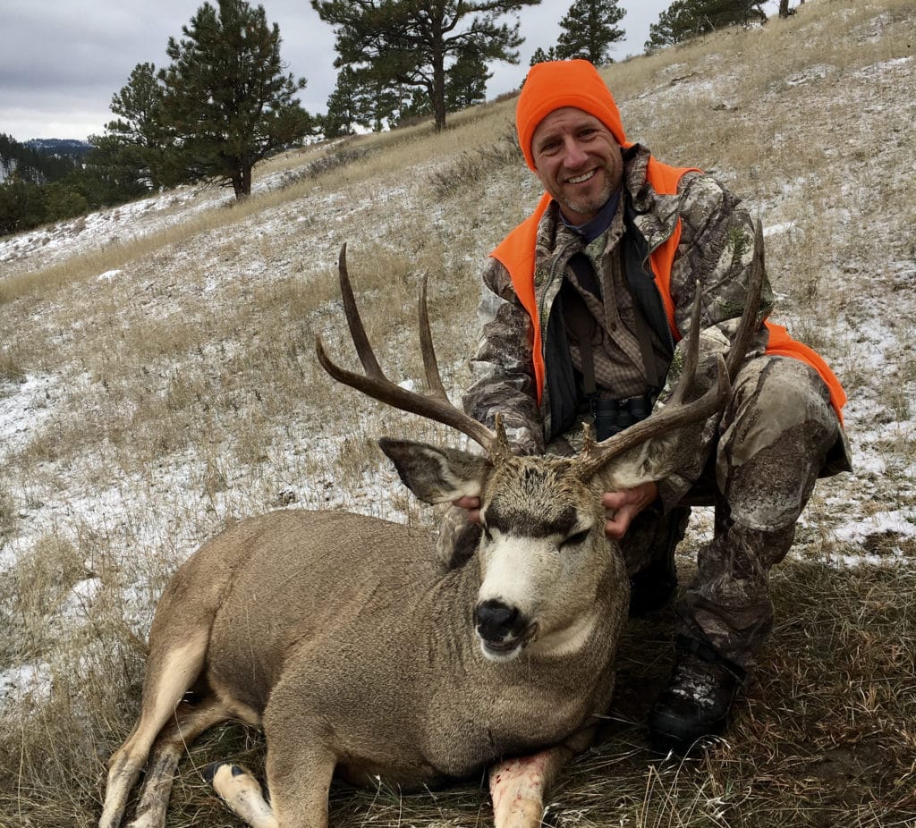 Mule Deer Buck Montana