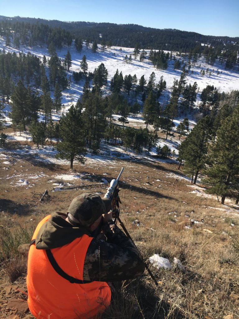 A hunter taking aim at a mule deer in Montana