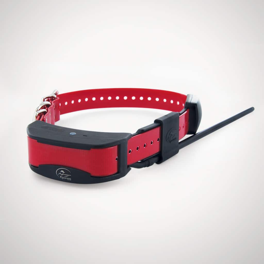 Sportdog collar blinking on sale red