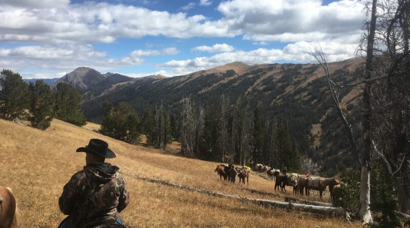 Hunters and pack horses in Wyoming
