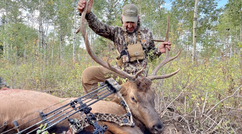 bowhunter with elk