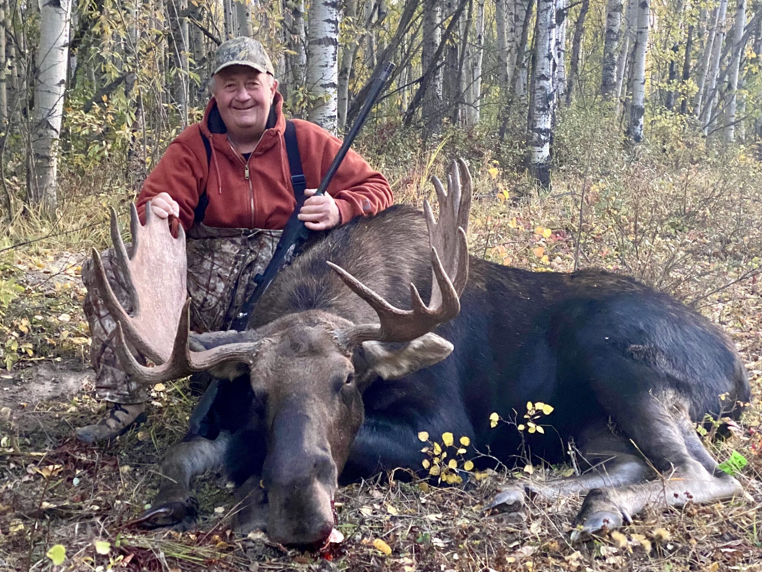 Alberta moose hunter with bull moose