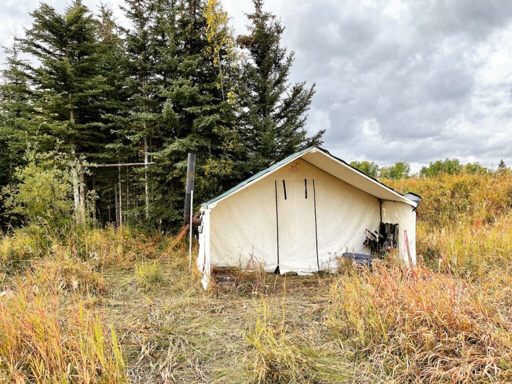 alberta moose hunting wall tent