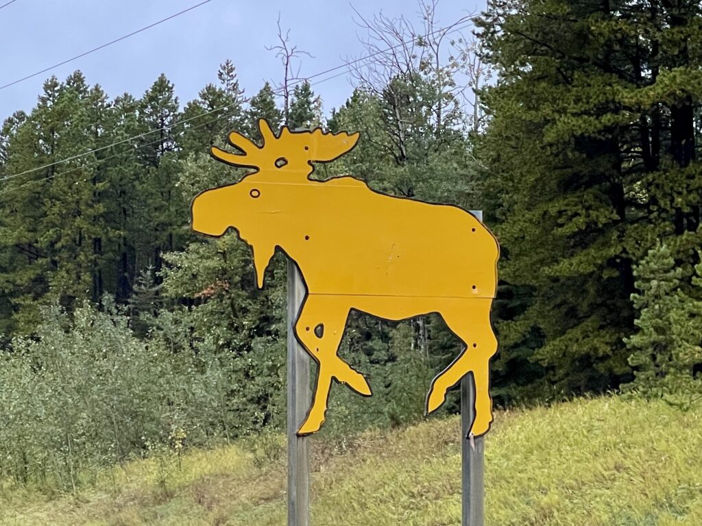 moose crossing sign 