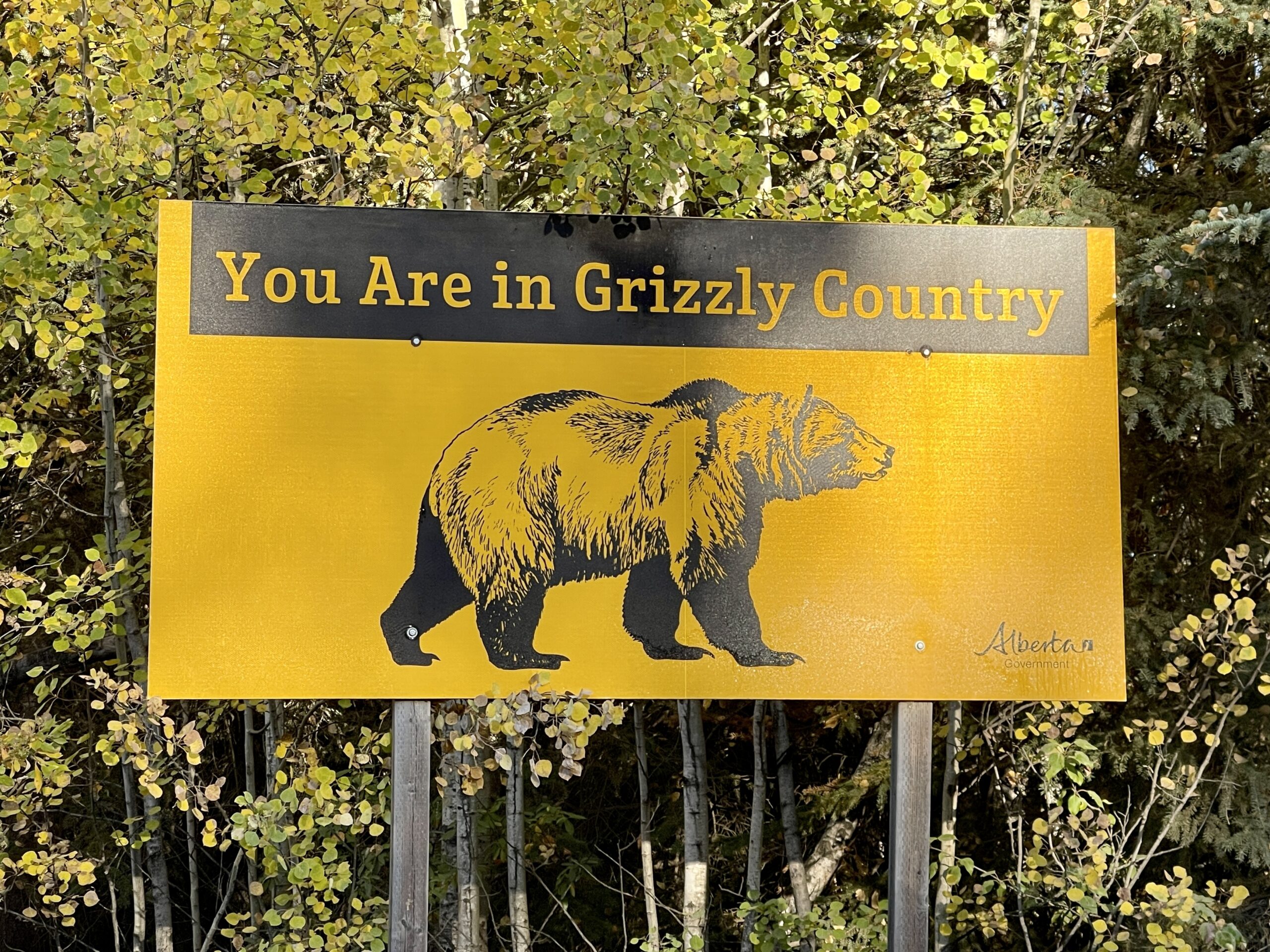 grizzly bear sign