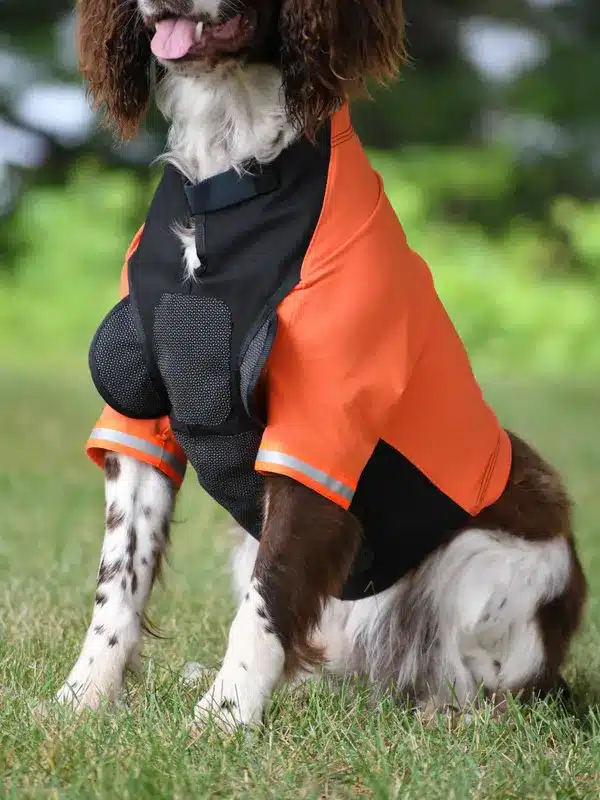 The Tyro Field Shield 1 : Protective Dog Vest