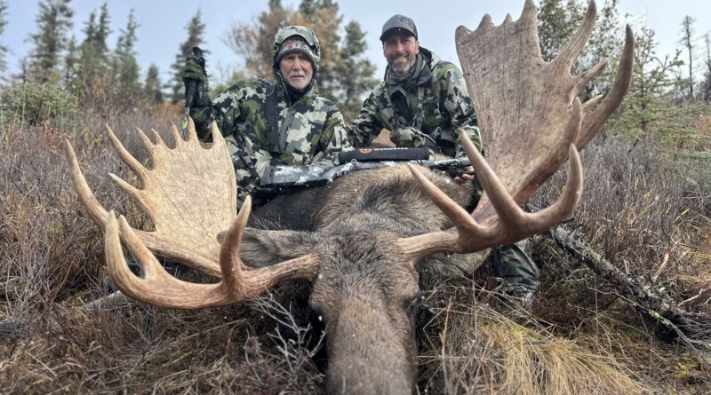 Alaskan Moose